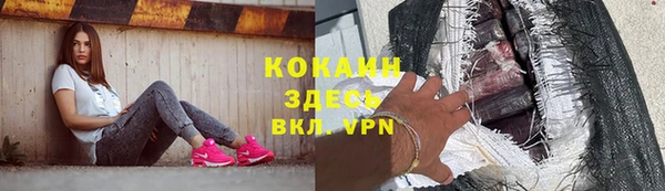 индика Верея