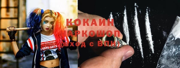 индика Верея