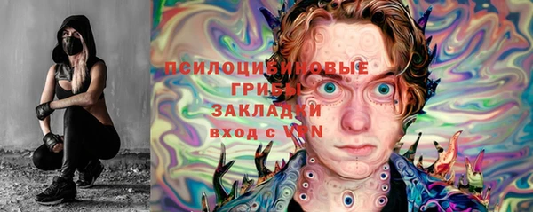 индика Верея