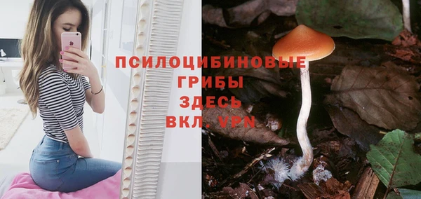 mdpv Верхний Тагил