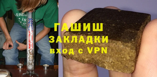 крисы Корсаков
